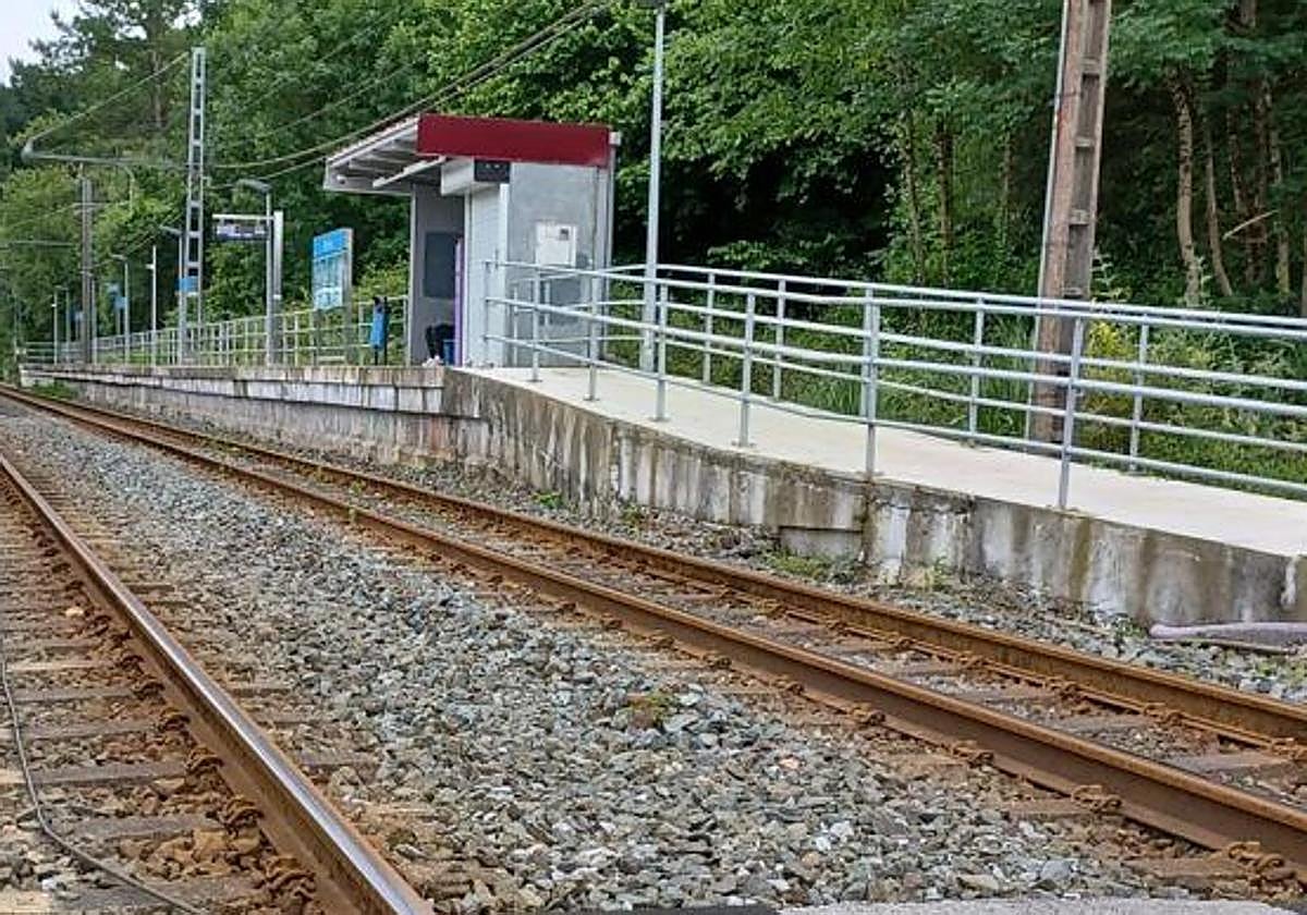 Detenidos dos hombres en Bedia por intentar robar 70 metros de cable en las vías del tren