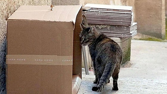 La ley de Schrödinger