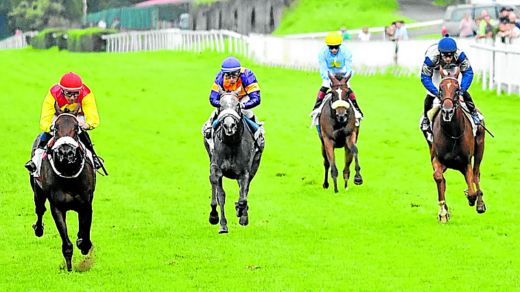 Los caballos de la familia del juez Peinado triunfan en Euskadi y Francia