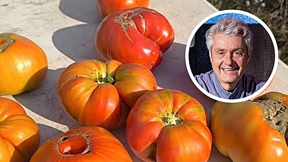 El error que no hay que cometer con los tomates según el cocinero Fernando Canales