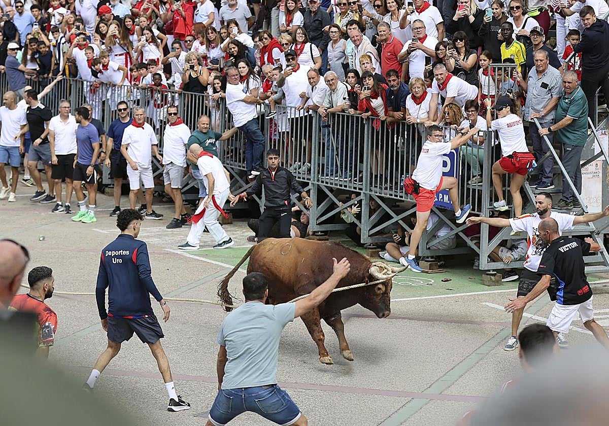 Muere una joven de Bilbao tras ser embestida por un toro en Navarra