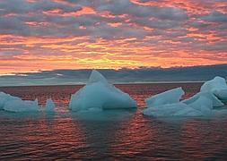 Pedazos de hielo flotan en el Océano Ártico, en Alaska. / Beth Ipsen (Ap)