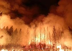 Imagen del fuego en Yosemite. / Ap