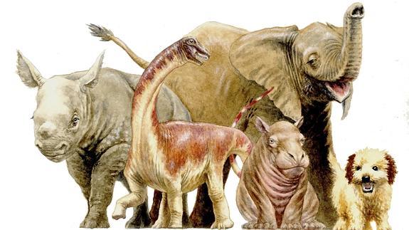 Un dinosaurio recién nacido con proporciones de adulto | El Correo