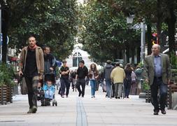 La población de Vitoria se ha reducido en 2012. / R del Val