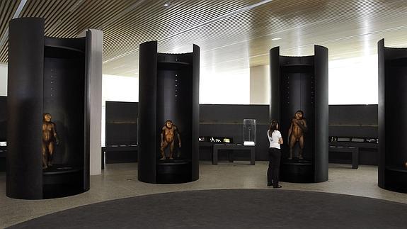 Museo de la Evolución de Burgos.