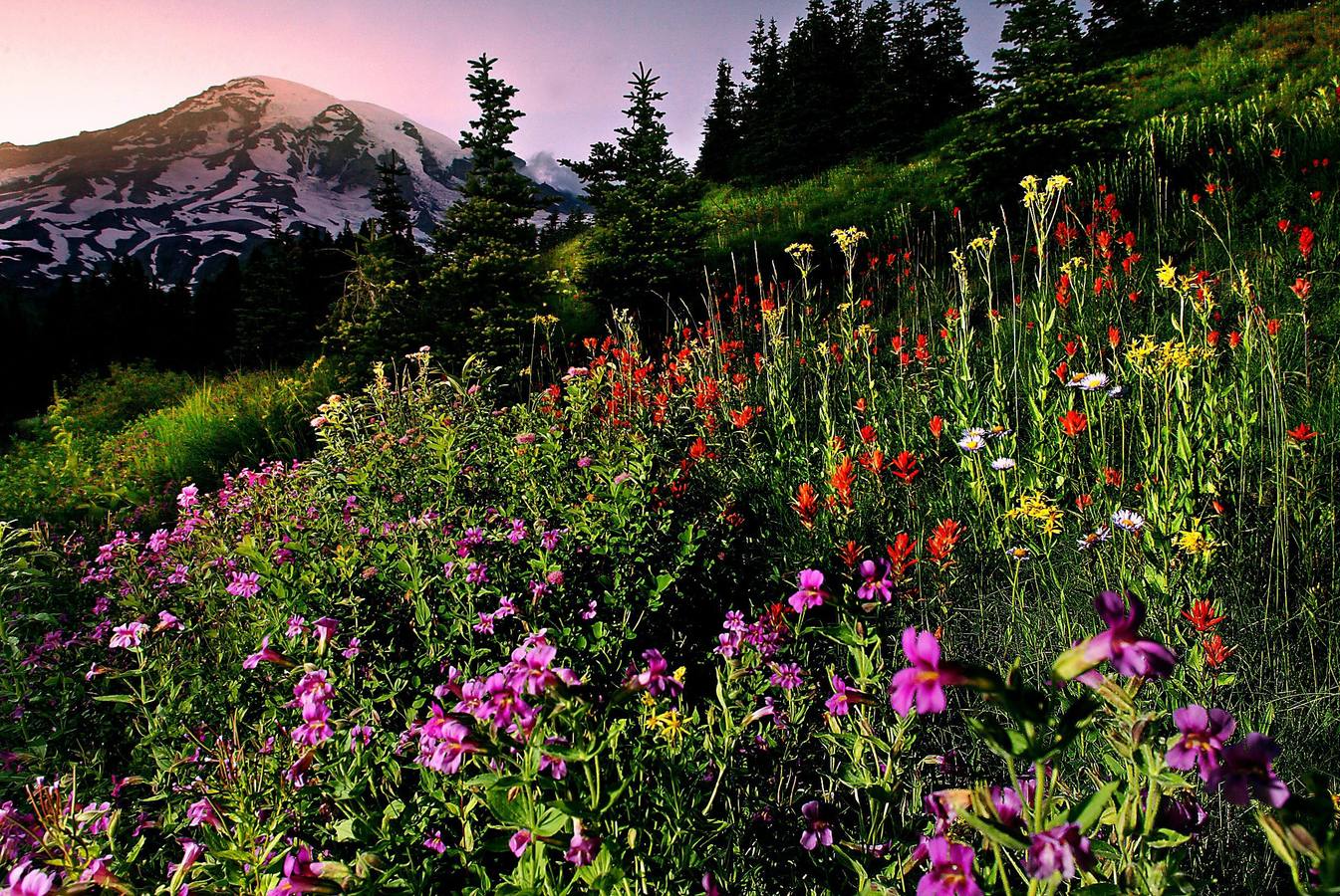 Las flores silvestres concentran  más aromas y tiene un sabor más original. 