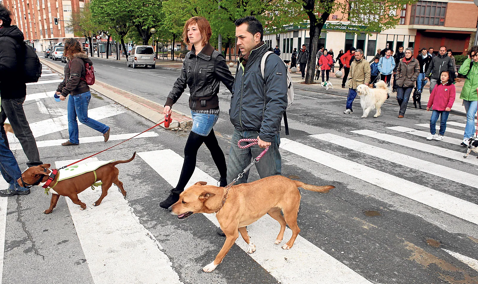 Nuevo parque para perros en Almería capital