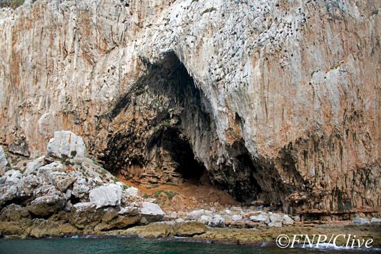Descubren arte neandertal en Gibraltar