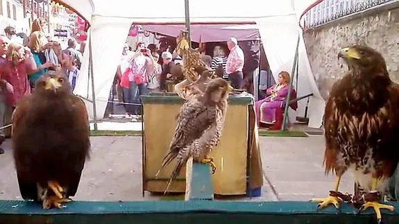 Aves rapaces en el mercado medieval. 