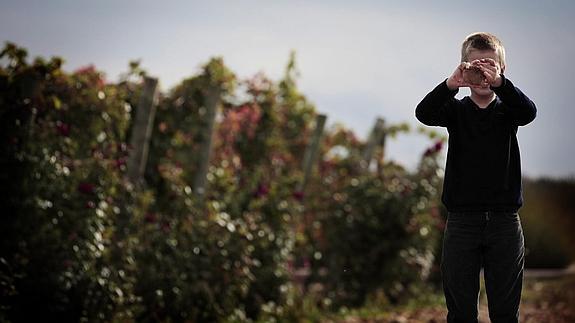 Los niños podrán disfrutar y conocer de cerca las viñas.