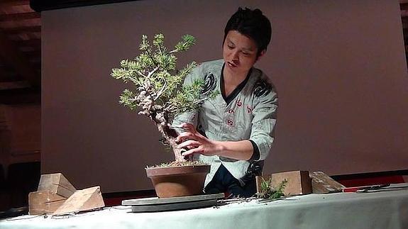 Masashi Hirao en una demostración de bonsái.