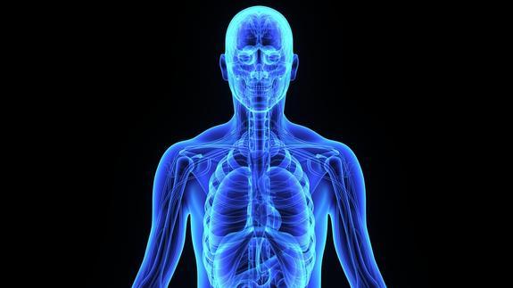 Dime en qué mes naciste y te diré qué enfermedades sufrirás