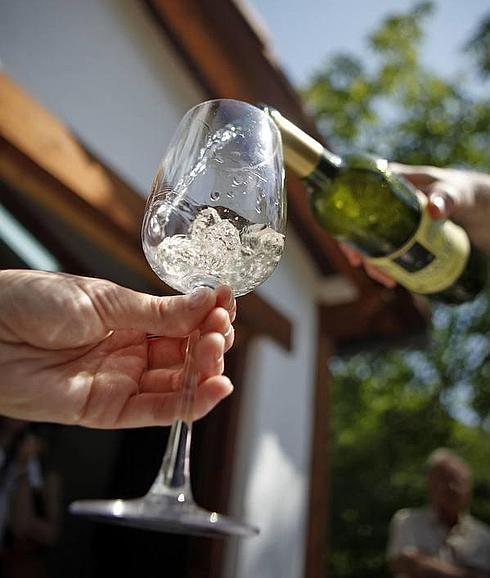 Copa de txakoli en la bodega Amunategi, Urdaibai.