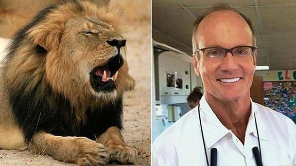 El león Cecil y su asesino, el dentista Walter Palmer.