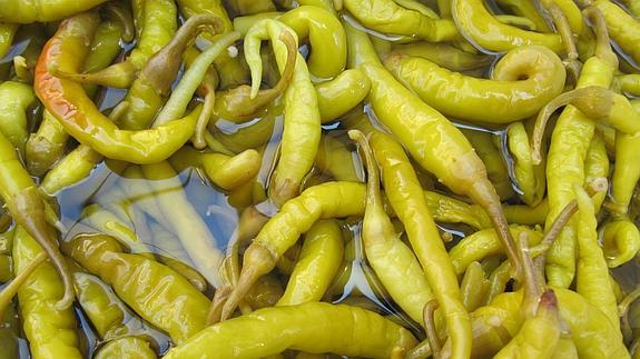 En el País Vasco están las mejores guindillas: las 'piperras' o 'piparras'.