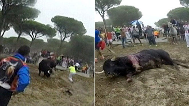 Instante en el que el mozo le clava la lanza mortal.