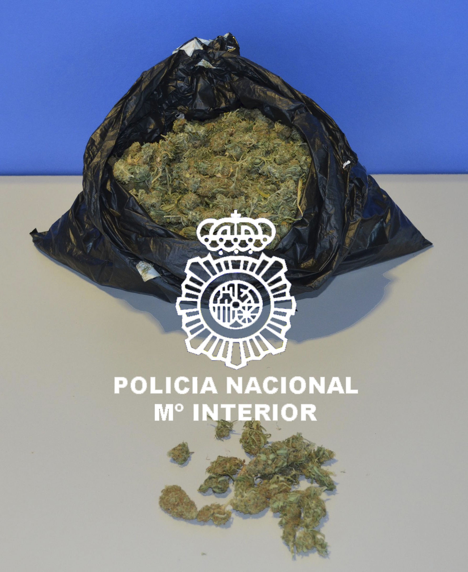 Bolsa incautada con los cogollos de marihuana. DGP