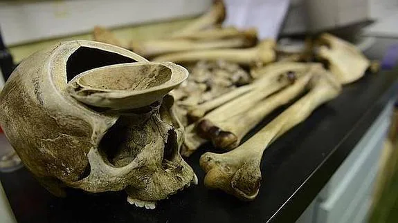 Esqueleto en el Instituto Anatómico de Madrid.