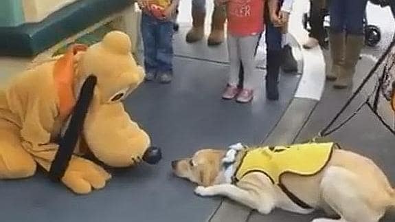 Pluto y el perro se miran.