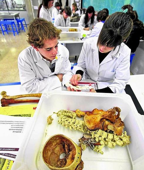 Alumnos de Medicina en la sala de disección de la UPV en el campus de Leioa.