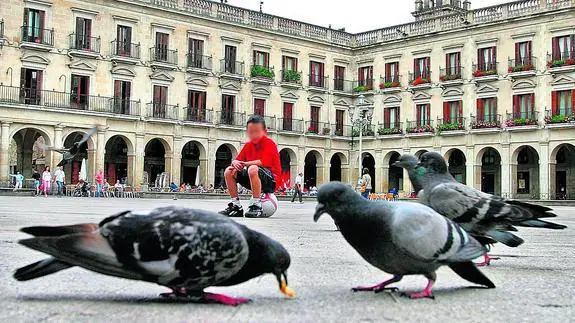 Palomas en la Plaza de España, uno de los lugares preferidos de estas aves en el centro de Vitoria. 