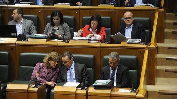 Pleno del Parlamento en Vitoria.