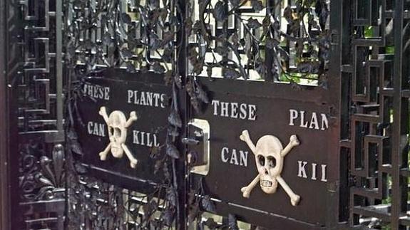 El jardín venenoso de Alnwick, en Reino Unido.