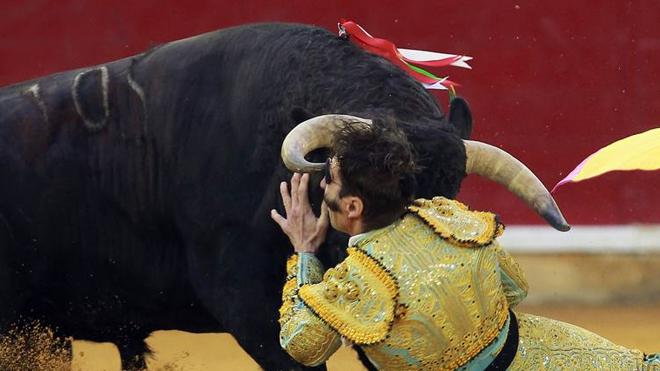 Padilla ha vuelto a sufrir una grave cornada en Zaragoza, como hace cinco años.