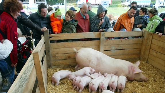 Asistentes a la feria del año pasado se divierten en la exposición de animales. 