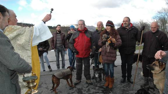 Once perros y un gato recibieron ayer en Urkiola la bendición de San Antón. 