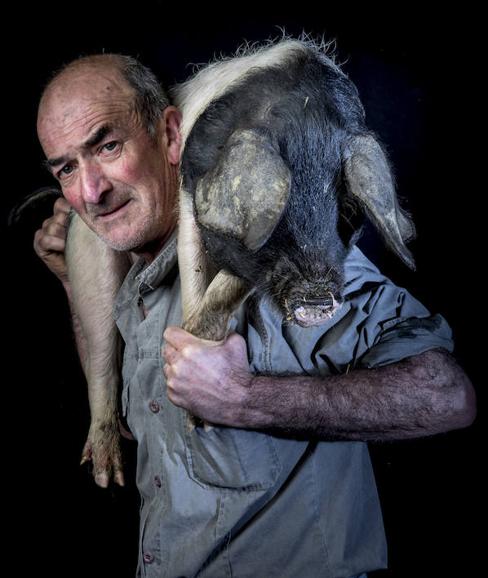 José Antonio Isusi carga con un cerdo.
