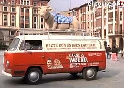 Los consumidores hablan sobre este alimento en su dieta cotidiana. /elcorreo.tv