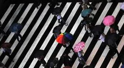 Peatones cruzan un paso de cebra bajo la lluvia./ Agencias