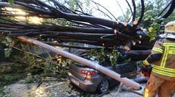 Un árbol de gran tamaño se cae junto a la estación del metro de Gobela y destroza un coche