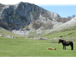 IMPRESIONANTE. Imaginemos un enorme tazón de piedra rodeado de un reborde montañoso. / ANDER IZAGIRRE