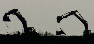 EPIDEMIA. Excavadoras trasladan vacas enfermas sacrificadas a una fosa en Highampton, Inglaterra, para enterrarlas. / AP