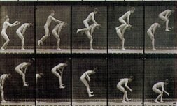 Secuencias de distintos ejercicios físicos, obra del fotógrafo inglés fechada en 1887.
