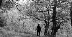 La tupida floración de este año vaticina una abundante cosecha. / FERNANDO GÓMEZ