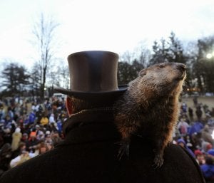 ::
JEFF SWENSEN/AFP