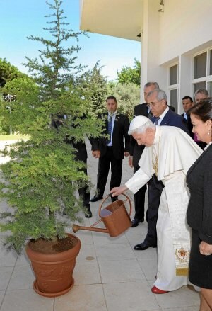El Papa riega el cedro que sembró ayer en el palacio presidencial. ::                         AFP