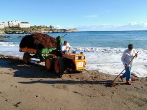 El tractor traslada el cargamento de algas para su posterior secado. ::                         SERGIO GARCÍA