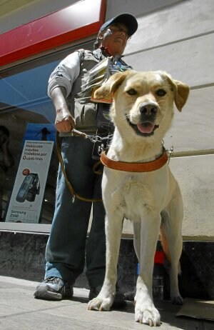 Un vendedor de cupones con su perro guía./ IGOR AIZPURU