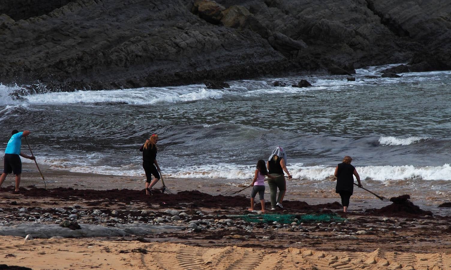 La caloca llega a las playas