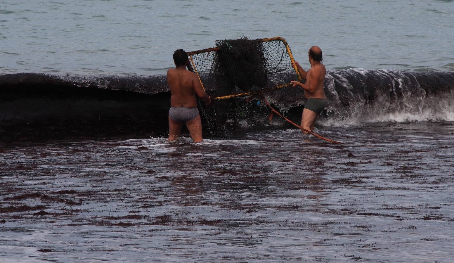 La caloca llega a las playas
