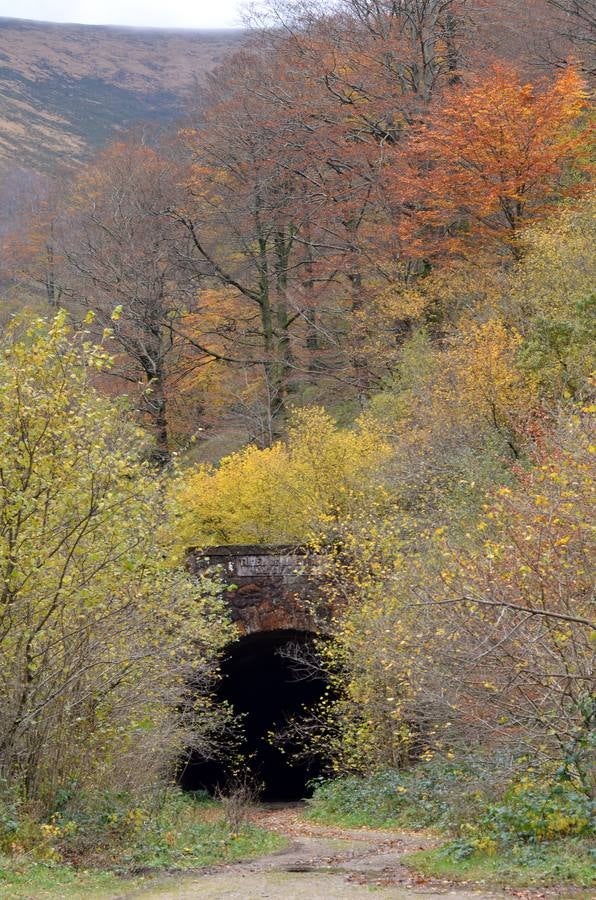 Boca norte del túnel de La Engaña, enmarcada por las tonalidades del otoño.