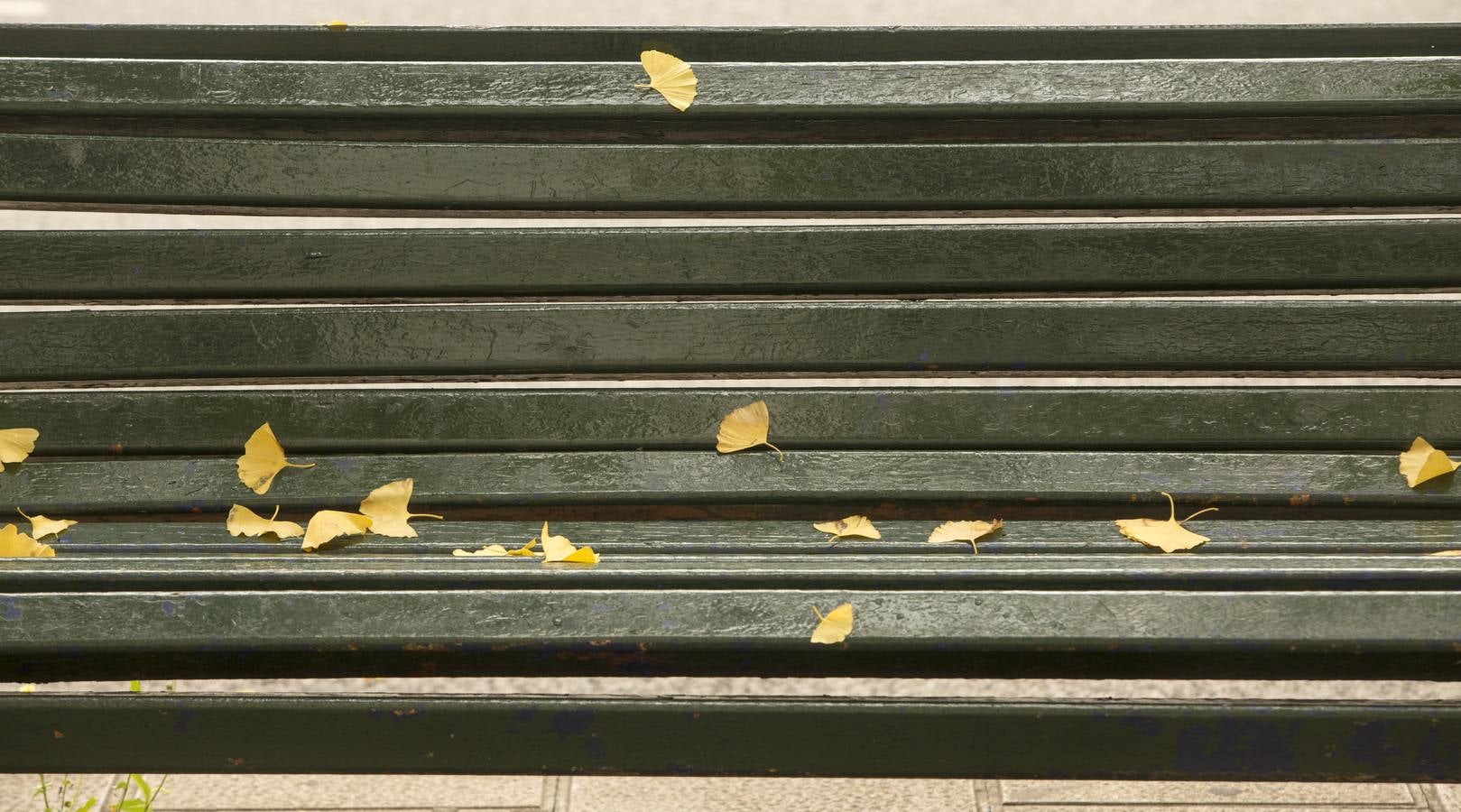 Otoño en Cantabria