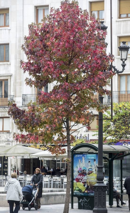 Otoño en Cantabria