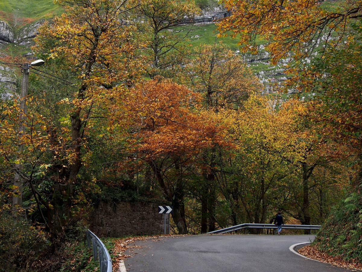Otoño en Cantabria