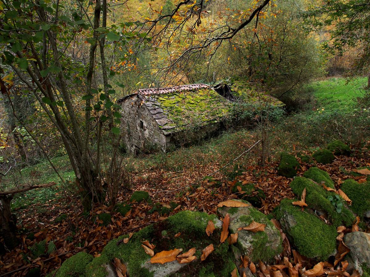 Otoño en Cantabria